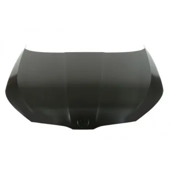 Capot-moteur BLIC 6803-00-7519280P
