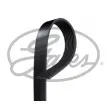 Courroie trapézoïdale à nervures GATES [8PK850]