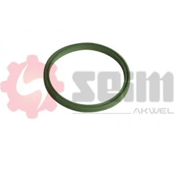 Gaine de suralimentation SEIM 981970