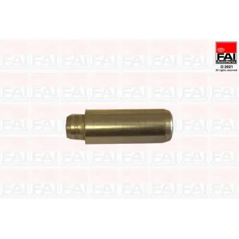 FAI AutoParts BFG3320 - Guide de soupape