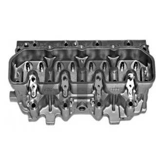 Culasse de cylindre AMC OEM LDF500180