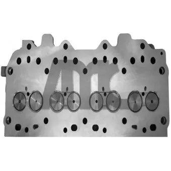 Culasse de cylindre AMC OEM LDF500180