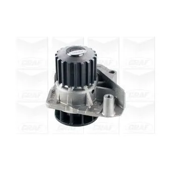 GRAF PA1200 - Pompe à eau