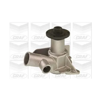 GRAF PA243 - Pompe à eau