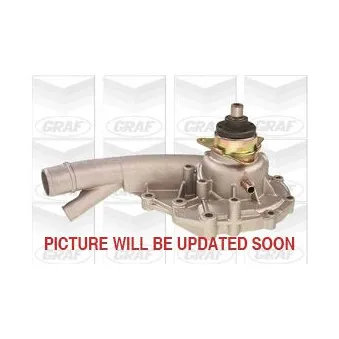 GRAF PA495 - Pompe à eau