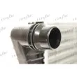 FRIGAIR 0110.3167 - Radiateur, refroidissement du moteur