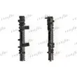 FRIGAIR 0204.2025 - Radiateur, refroidissement du moteur