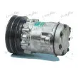 FRIGAIR 920.20036 - Compresseur, climatisation