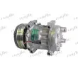 FRIGAIR 920.20247 - Compresseur, climatisation