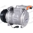 FRIGAIR 920.30066 - Compresseur, climatisation