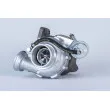 BorgWarner 53169887140 - Turbocompresseur, suralimentation