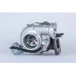 BorgWarner 53169887141 - Turbocompresseur, suralimentation