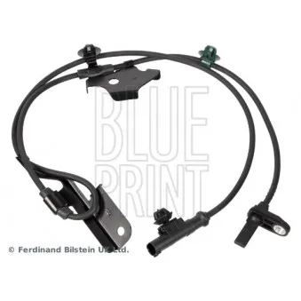 BLUE PRINT ADBP710003 - Capteur, vitesse de roue avant droit