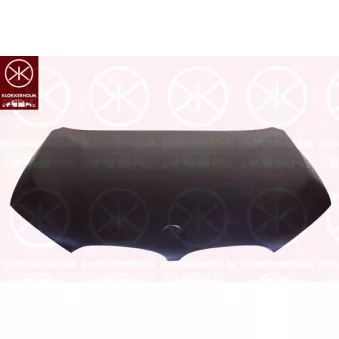 Capot-moteur KLOKKERHOLM 0098280