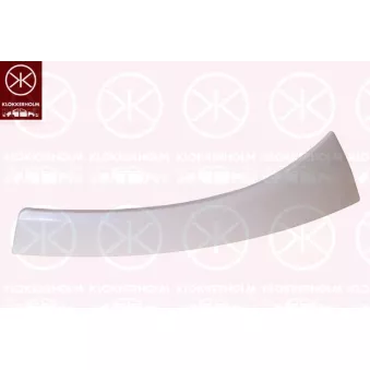 Bordure de phare KLOKKERHOLM OEM 735425413
