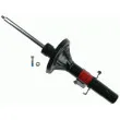 SACHS 312 303 - Jeu de 2 amortisseurs arrière