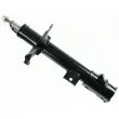 SACHS 313 632 - Amortisseur arrière gauche