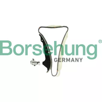Kit de distribution par chaîne Borsehung OEM V10-10022-BEK