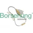Kit de distribution par chaîne Borsehung [B10204]