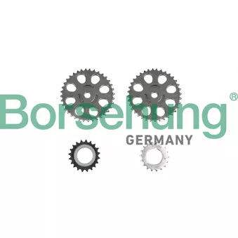 Borsehung B10212 - Kit de distribution par chaîne