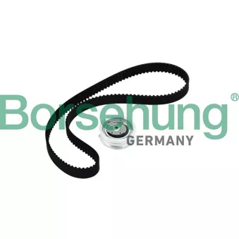 Kit de distribution Borsehung B10219