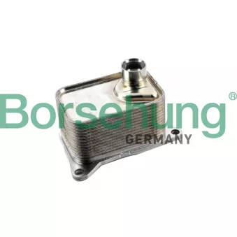 Radiateur d'huile Borsehung B10877 pour SKODA OCTAVIA 2.0 TSI RS - 245cv