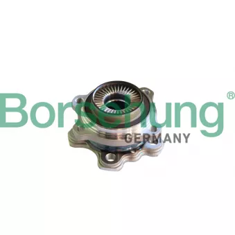 Roulement de roue arrière Borsehung B11293