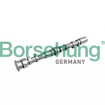 Borsehung B11313 - Arbre à came