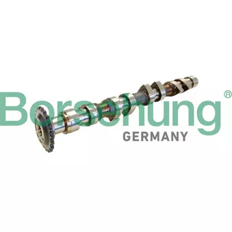 Borsehung B11314 - Arbre à came