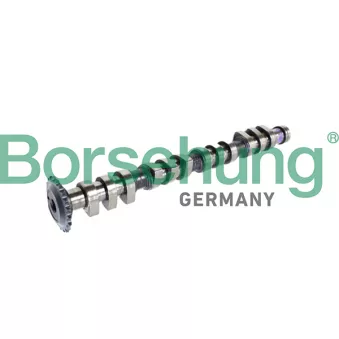 Borsehung B11315 - Arbre à came