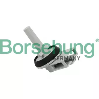 Capteur, température intérieur Borsehung B11447 pour VOLKSWAGEN TRANSPORTER - COMBI 2.0 BiTDI 4motion - 180cv