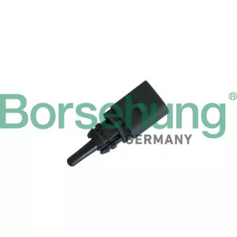 Capteur, température extérieure Borsehung B11864 pour AUDI A4 2.0 TFSI flexible fuel quattro - 180cv