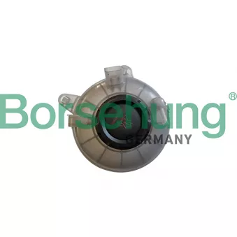 Vase d'expansion, liquide de refroidissement Borsehung B11941 pour SEAT LEON 2.0 TDI - 143cv