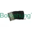 Gaine de suralimentation Borsehung [B11982]