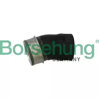 Gaine de suralimentation Borsehung B11982 pour VOLKSWAGEN NEW BEETLE 2.0 TSI - 200cv
