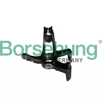 Borsehung B12113 - Fusée d'essieu, suspension de roue avant gauche