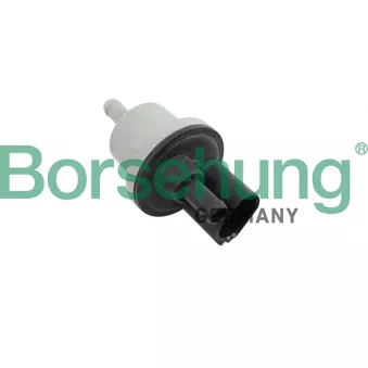 Soupape, filtre à charbon actif Borsehung B12188