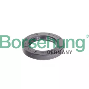 Bague d'étanchéité, boîte de vitesse manuel Borsehung B12191 pour VOLKSWAGEN JETTA 1.6 MultiFuel - 102cv