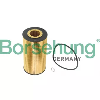 Filtre à huile Borsehung OEM 059115625a