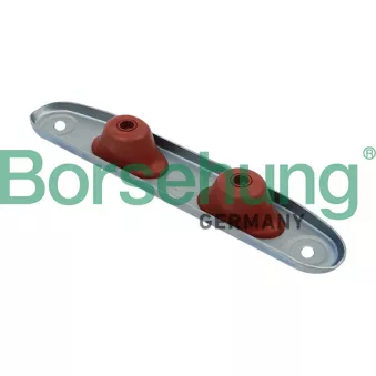 Bandes de caoutchouc, échappement Borsehung B12278 pour AUDI A3 1.2 TFSI - 110cv