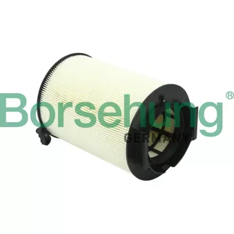 Filtre à air Borsehung OEM 1F0129620