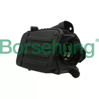 Filtre à air Borsehung B12845