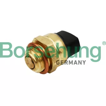 Interrupteur de température, ventilateur de radiateur Borsehung OEM 191959481C