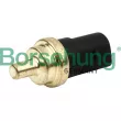 Borsehung B13133 - Sonde de température, liquide de refroidissement