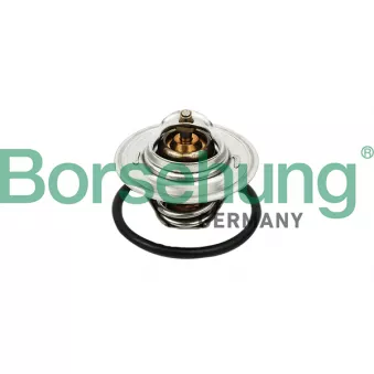 Thermostat, liquide de refroidissement Borsehung OEM 050121113C