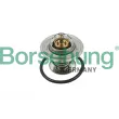 Borsehung B13141 - Thermostat, liquide de refroidissement