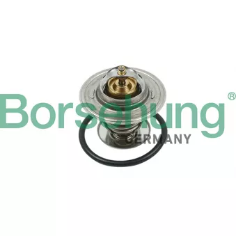Thermostat, liquide de refroidissement Borsehung B13141 pour VOLKSWAGEN BORA 2.3 V5 - 170cv