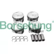Borsehung B13576 - Jeu de segments de pistons