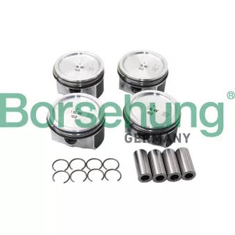 Borsehung B13576 - Jeu de segments de pistons