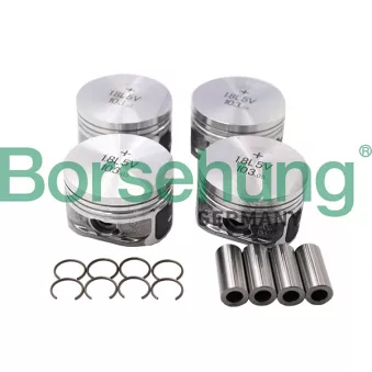 Borsehung B13579 - Kit de pistons